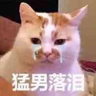 微信更新，煩死人的微信群問題解決了，還能立“遺囑”