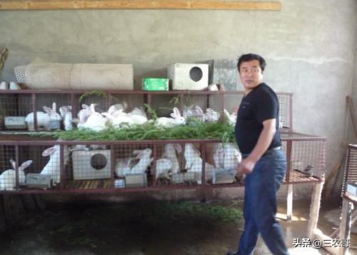適合農民在家職業的7個小本創業，看沒有適合你的？