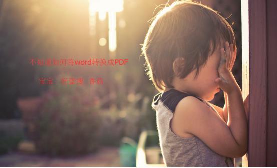 如何把Word轉成PDF Word批量轉換工具