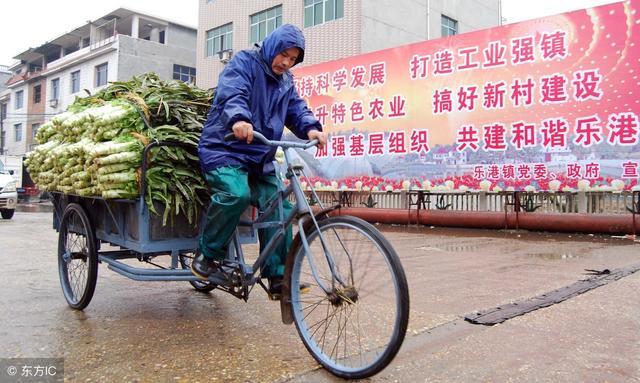 農村現在干什么掙錢？農民朋友可以看看這10個好點子