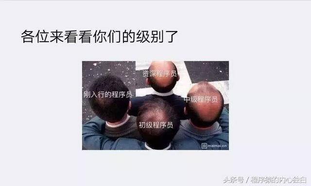 可用于企業的 7 個最佳開源 Web 服務器！