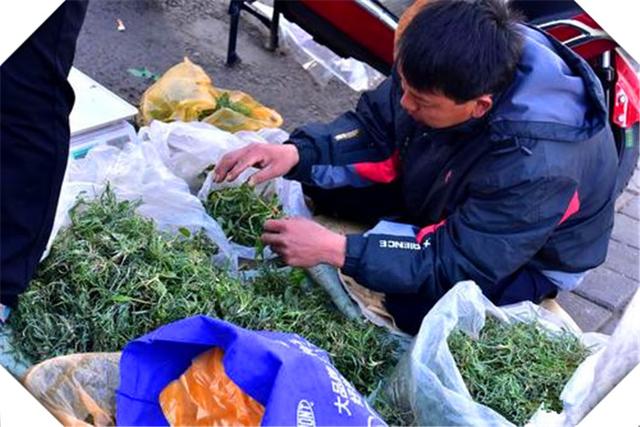 現在市場上有哪些小本錢投入，做起來能養家糊口的小生意？這幾個