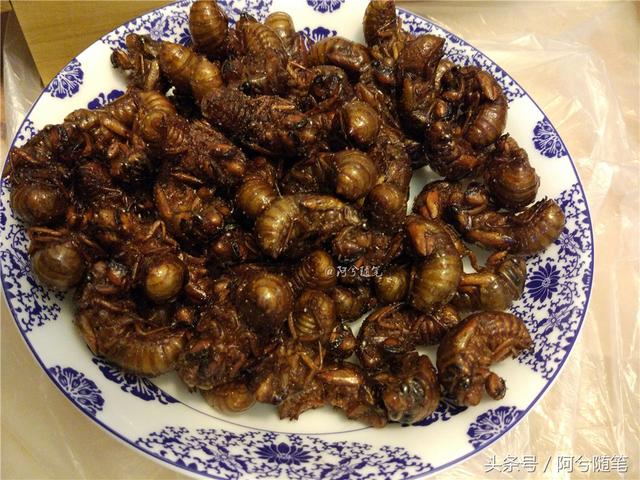5種適合農村人創業的小投入項目！