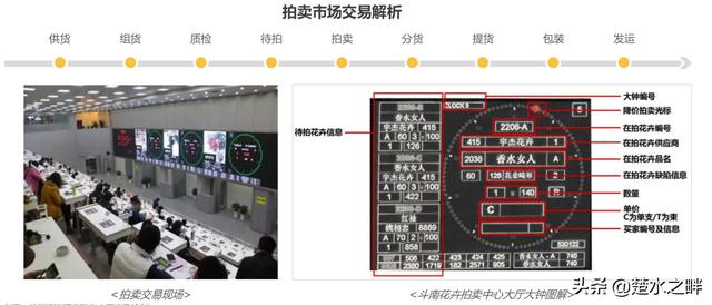 2019鮮花電商行業深度報告