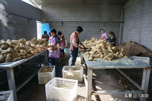 適合農民在家職業的7個小本創業，看沒有適合你的？