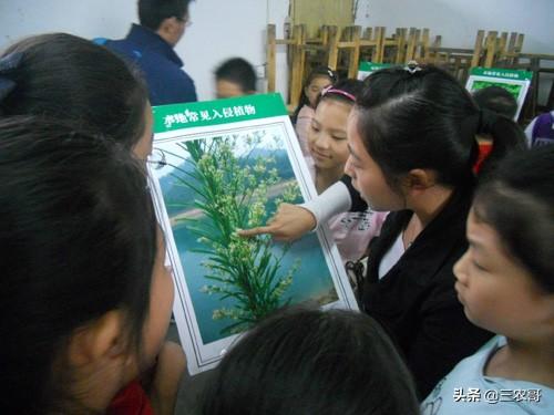 適合農民在家職業的7個小本創業，看沒有適合你的？