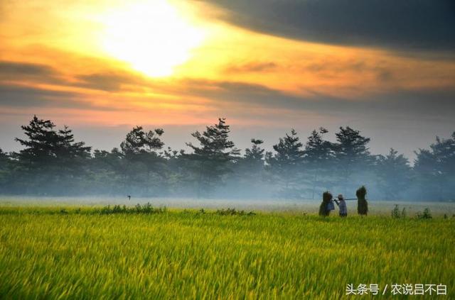 對于所有的農業從業者、研究員、新農人，馬云有幾句話要說！