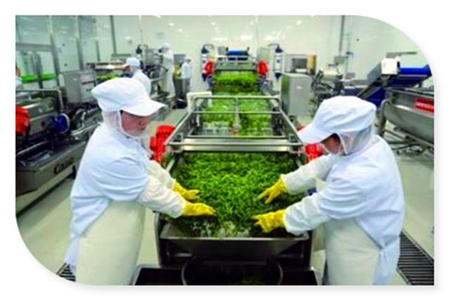 目前形勢下，開什么樣的廠子能賺錢？推薦幾個供考察