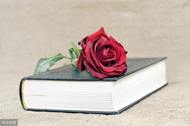 寫網絡小說，怎么樣才能賺到錢？