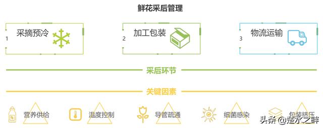 2019鮮花電商行業深度報告