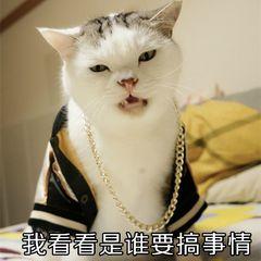為什么微信總想要刪除好友？原來這才是真相！網友：也太扎心了吧