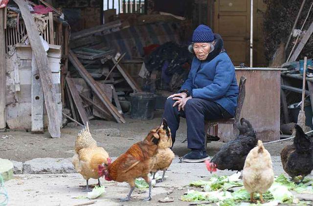 2020年在農村養什么最賺錢？不想出去打工的，可以試試這三個市場