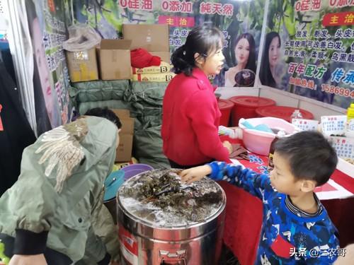 推薦22個在農村可以做的項目，創業投資小回報率高，發家致富不難