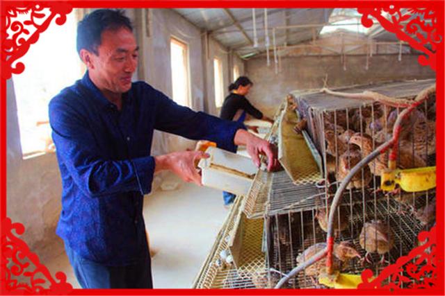 目前在農村養殖什么比較賺錢，而且風險??？推薦幾種