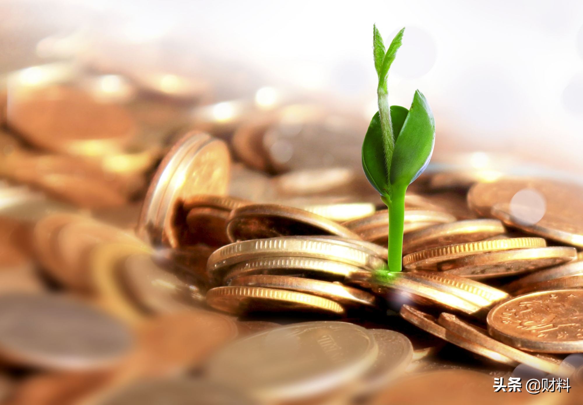 手握5萬現金，你將如何投資？理財專家：適合普通人的3種理財方式