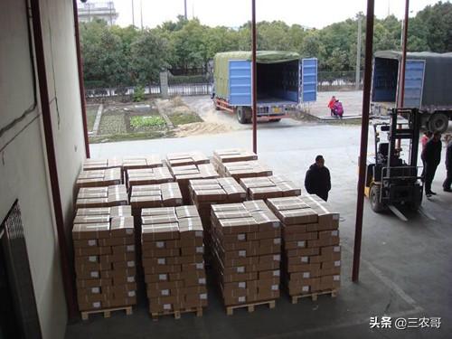 推薦22個在農村可以做的項目，創業投資小回報率高，發家致富不難