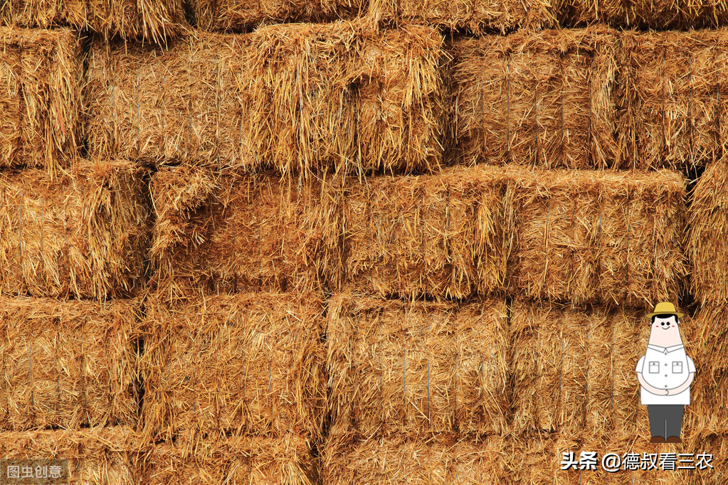 想要在農村辦一個加工廠，什么項目最掙錢？千萬不要特立獨行