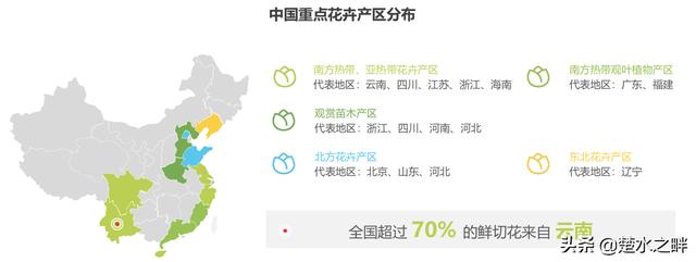 2019鮮花電商行業深度報告