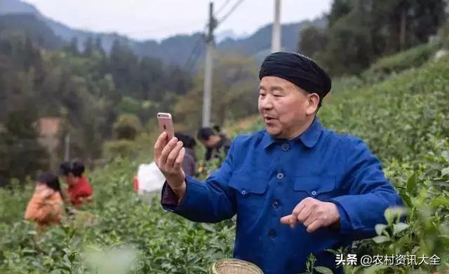 過完年農民在家閑著沒收入？這3個方式在家也能賺錢，來了解一下