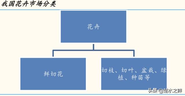 2019鮮花電商行業深度報告
