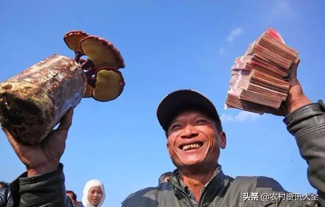 過完年農民在家閑著沒收入？這3個方式在家也能賺錢，來了解一下