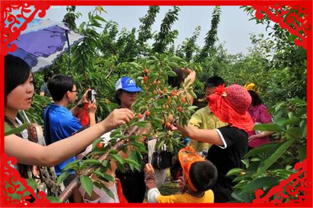農村這些投資小的創業項目，可以幫助你發家致富，比較穩妥