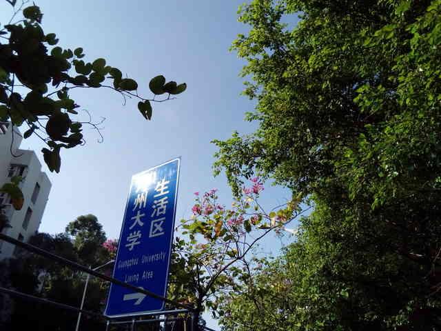 小格雷學生手機評測:為學習而生,家長可管理