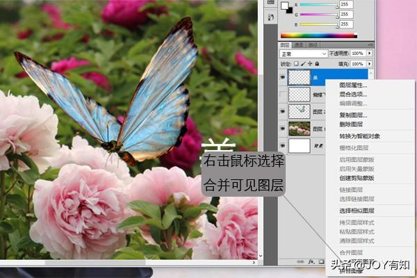 Photoshop入門到精通：圖層基本操作，向下合并和合并可見圖層