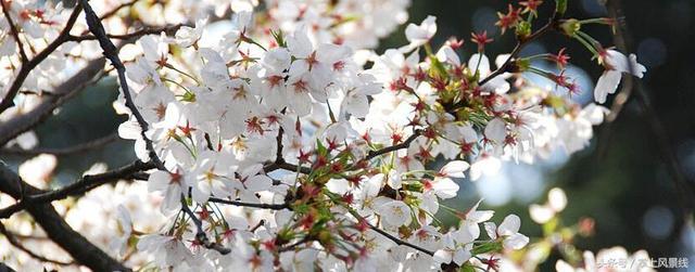 武漢旅游：最值得去的9個地方，定讓你不虛此行！