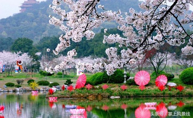 武漢旅游：最值得去的9個地方，定讓你不虛此行！