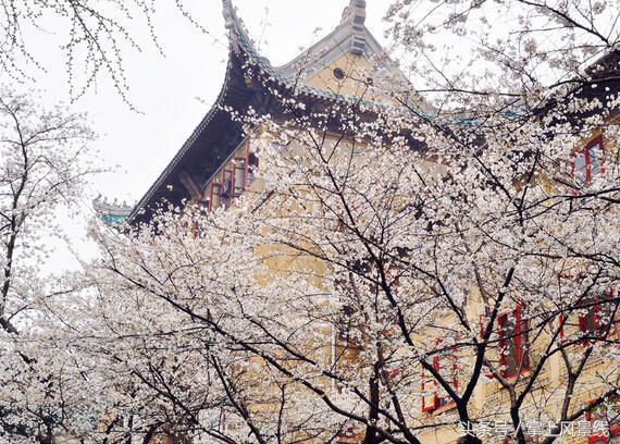 武漢旅游：最值得去的9個地方，定讓你不虛此行！
