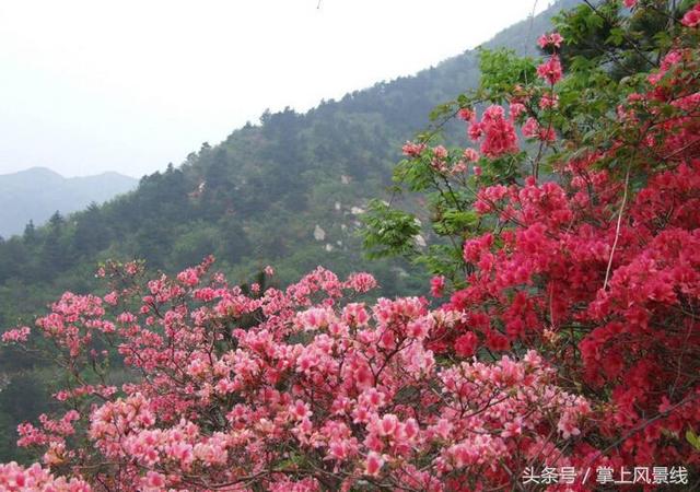 武漢旅游：最值得去的9個地方，定讓你不虛此行！