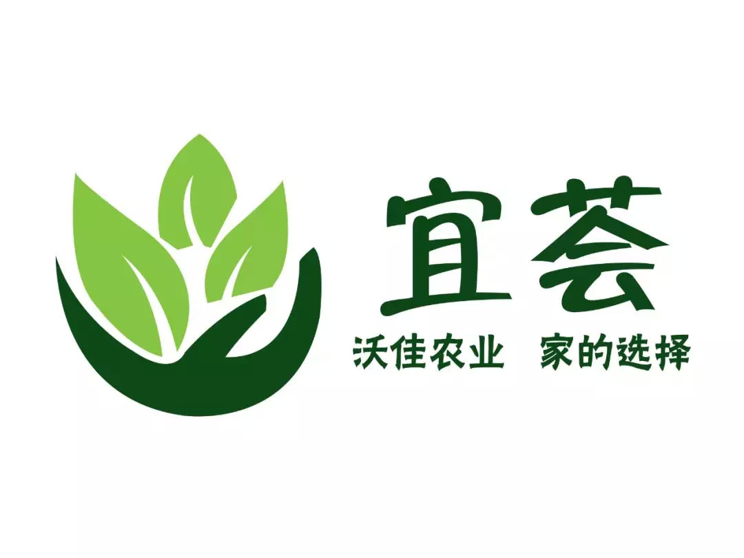 1分鐘在線LOGO自助設計 幫你打造個性LOGO