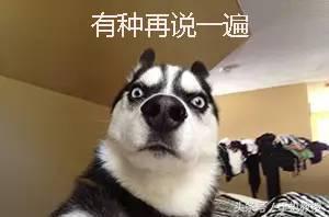 別復制粘貼了，把通訊錄移到新手機最簡單的方法在這！