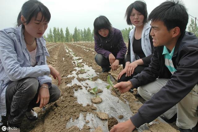 農村干什么能致富？經驗告訴你這3個項目越往后越賺錢！