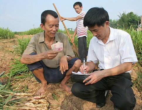 未來農村，這3個項目“吃香”，能賺錢還有補貼拿，農民不妨試試