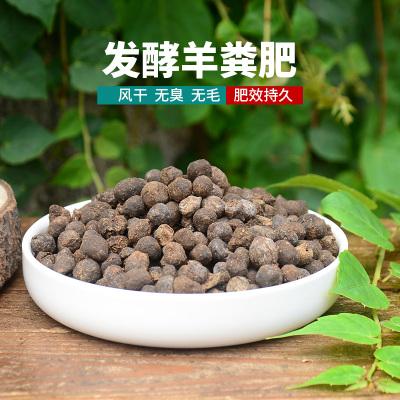 決定回農村發展的朋友，這5個利潤高、前景好的項目，值得推薦