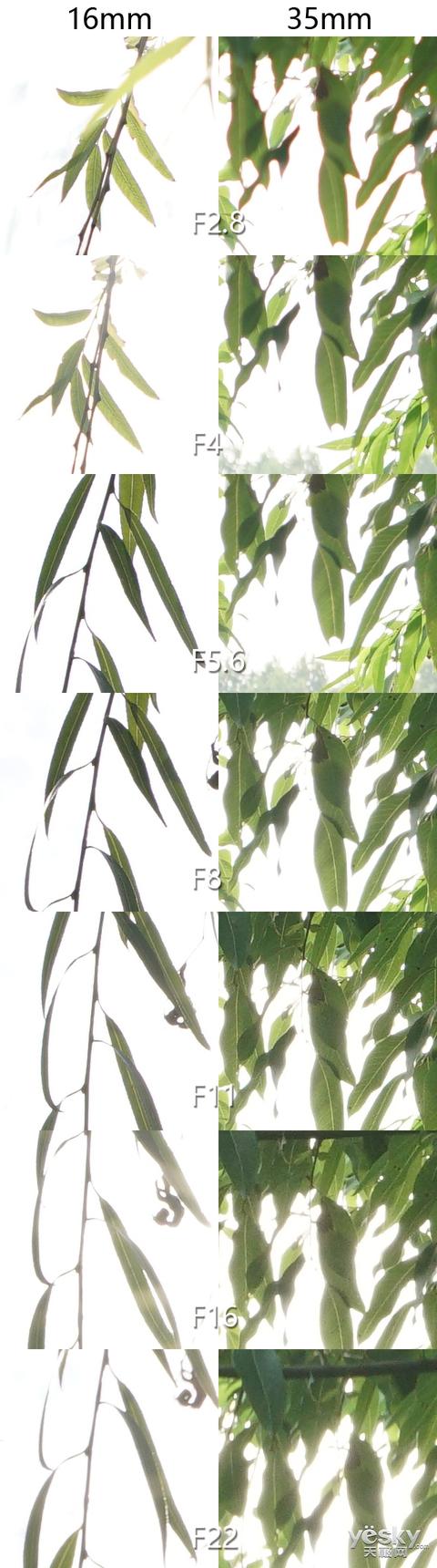 超廣大三元 索尼G大師鏡頭SEL1635GM評測