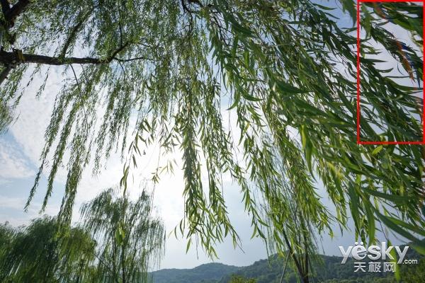 超廣大三元 索尼G大師鏡頭SEL1635GM評測