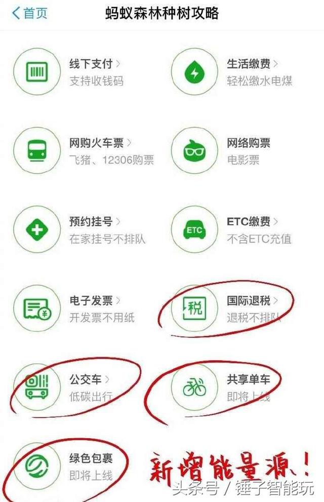 螞蟻森林又添新玩法，刷公交，騎自行車都可以收集能量了