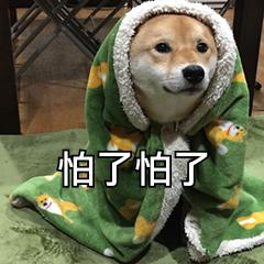 微軟雅黑也侵權？！趕緊看看哪些字體可免費商用吧！別再掉坑了