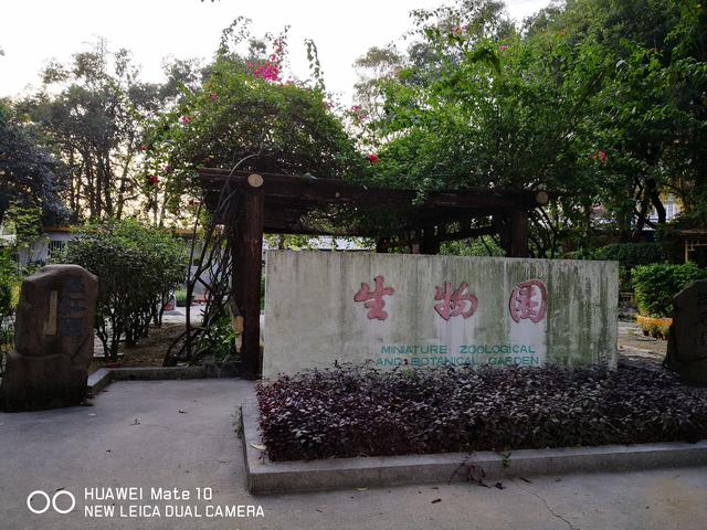 華為Mate 10體驗評測:一款沒有明顯短板的國產機皇
