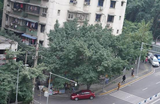 一次砸鍋賣鐵的分享:索尼GM大三元鏡頭測評