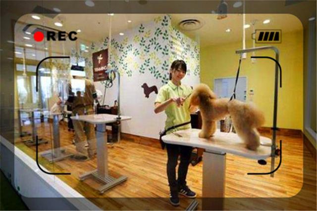 目前經濟形勢下，開什么樣的實體店比較穩妥呢？推薦幾個供參考