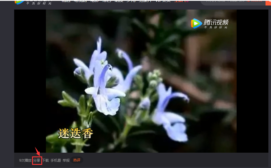 電腦上制作的視頻電子相冊怎么發送給微信好友和自己的朋友圈
