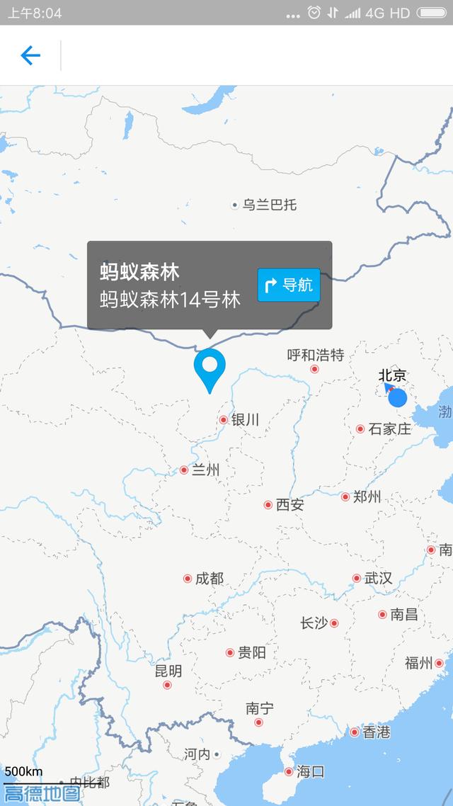為環保加油！查看支付寶螞蟻森林真樹的方法，跟我一起種樹吧