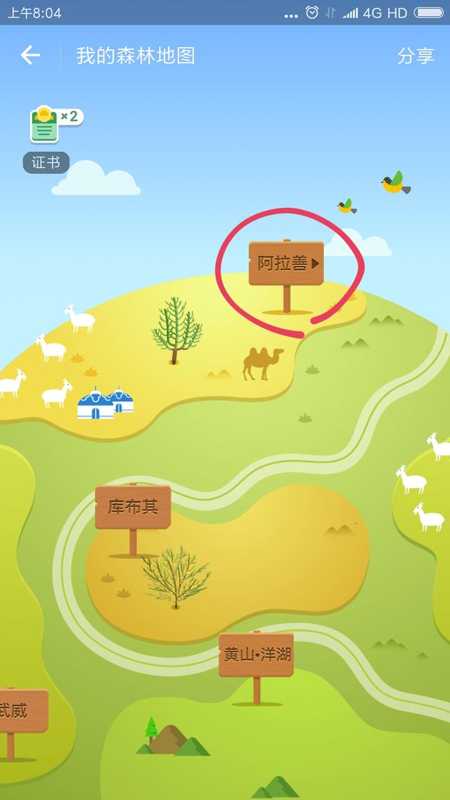 為環保加油！查看支付寶螞蟻森林真樹的方法，跟我一起種樹吧