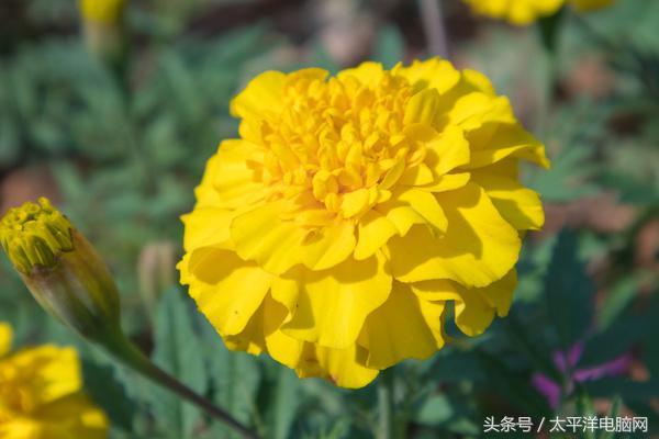 年輕玩家的第一臺單電相機！佳能EOS M100評測