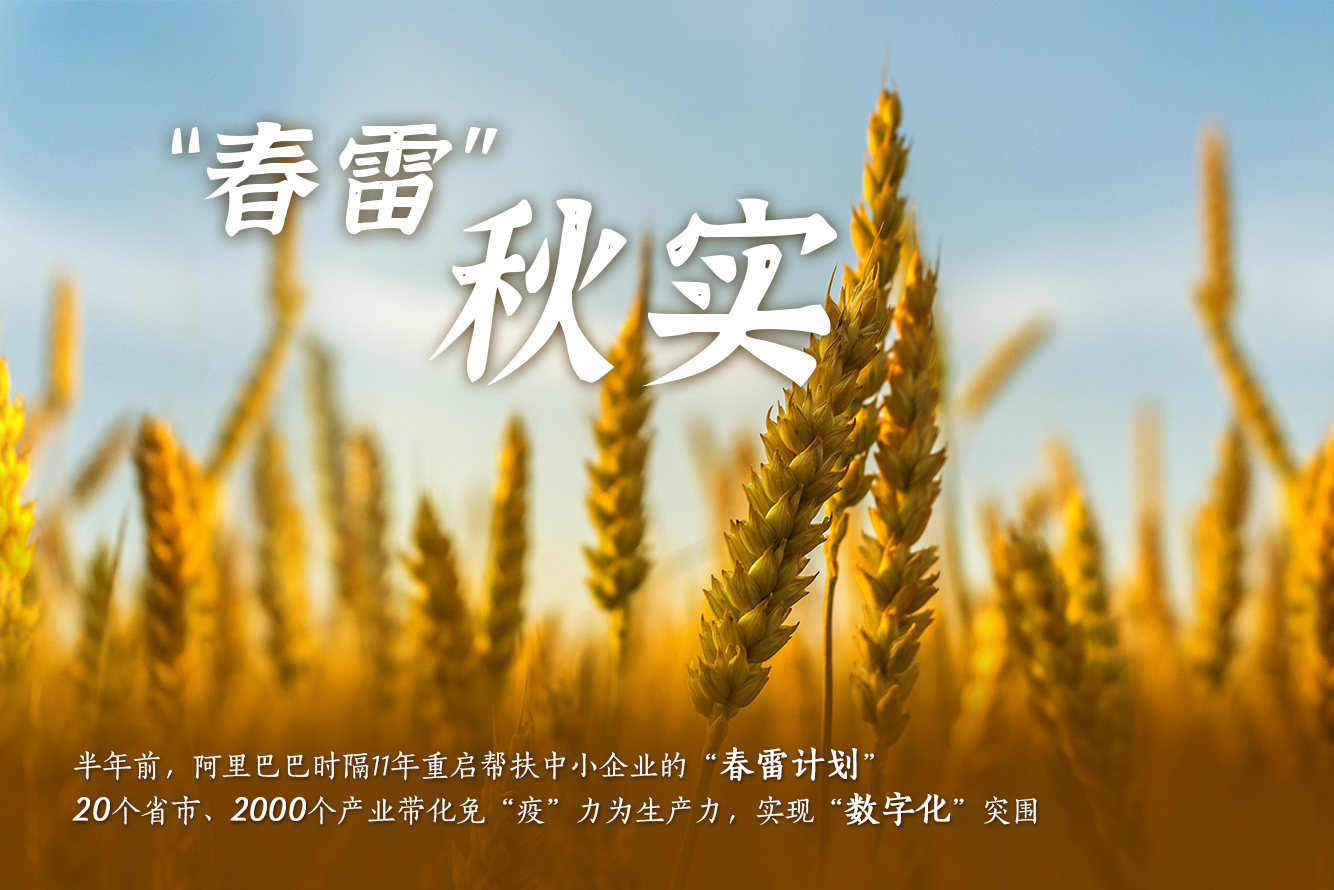 頭部主播影響力超乎想象，李佳琦的狗都能賺錢了