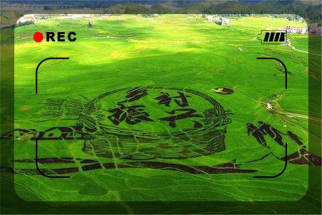 投資100萬左右，目前在農村養殖什么最賺錢？推薦這幾種